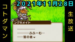 コトダマン生放送20211128