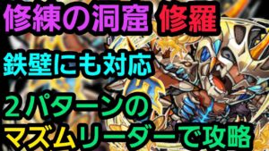 修練の洞窟修羅をマズムリーダーで攻略【コトダマン】