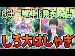 【ビナー獣神化】今年1番はしゃいでたかもしれないｗビナー獣神化発表の瞬間のしろ【しろ】