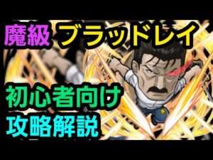 魔級キング・ブラッドレイを鋼の錬金術師コラボからゲーム始めた人向け編成で攻略解説【コトダマン】