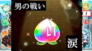 【コトダマン】綾波ぃ！！！来ぉい！！！【ガチャ】