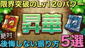 【Lv120】絶対後悔しない！昇華の振り方5選【コトダマン】