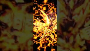 【コトダマン】仮面ライダー強くてカッケェ！！