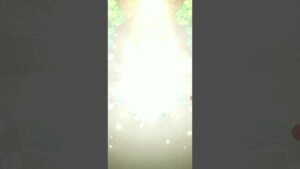 ディルガルを強化・進化させた！(コトダマン)