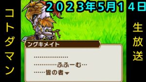 コトダマン生放送20230514