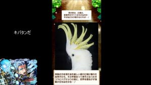 【コトダマン】　絶対にアズールが欲しいガチャ