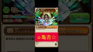 亀吉のコトダマン動画のアイキャッチ1「傲慢系」！