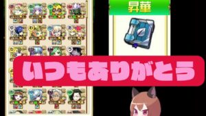 【コトダマン】昇華書授与式をはじめます